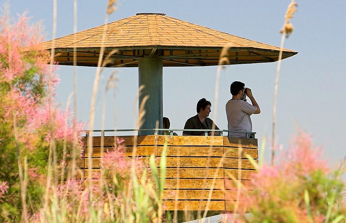 parc natural delta ebre